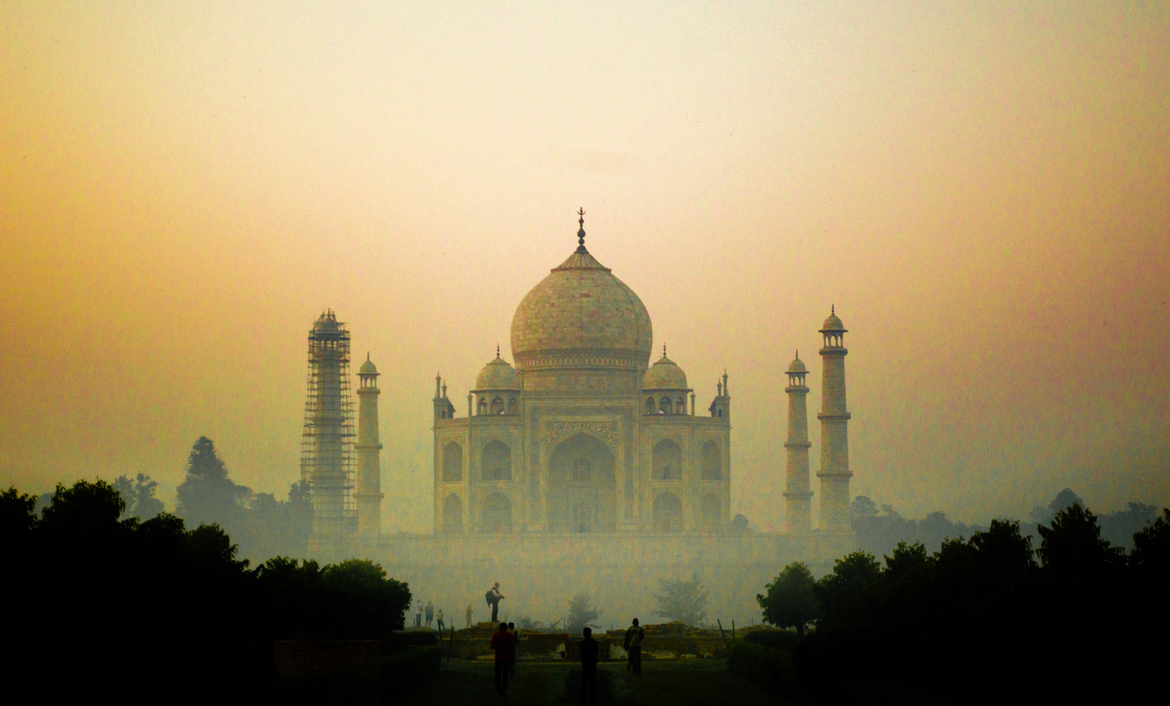 Cover image for post