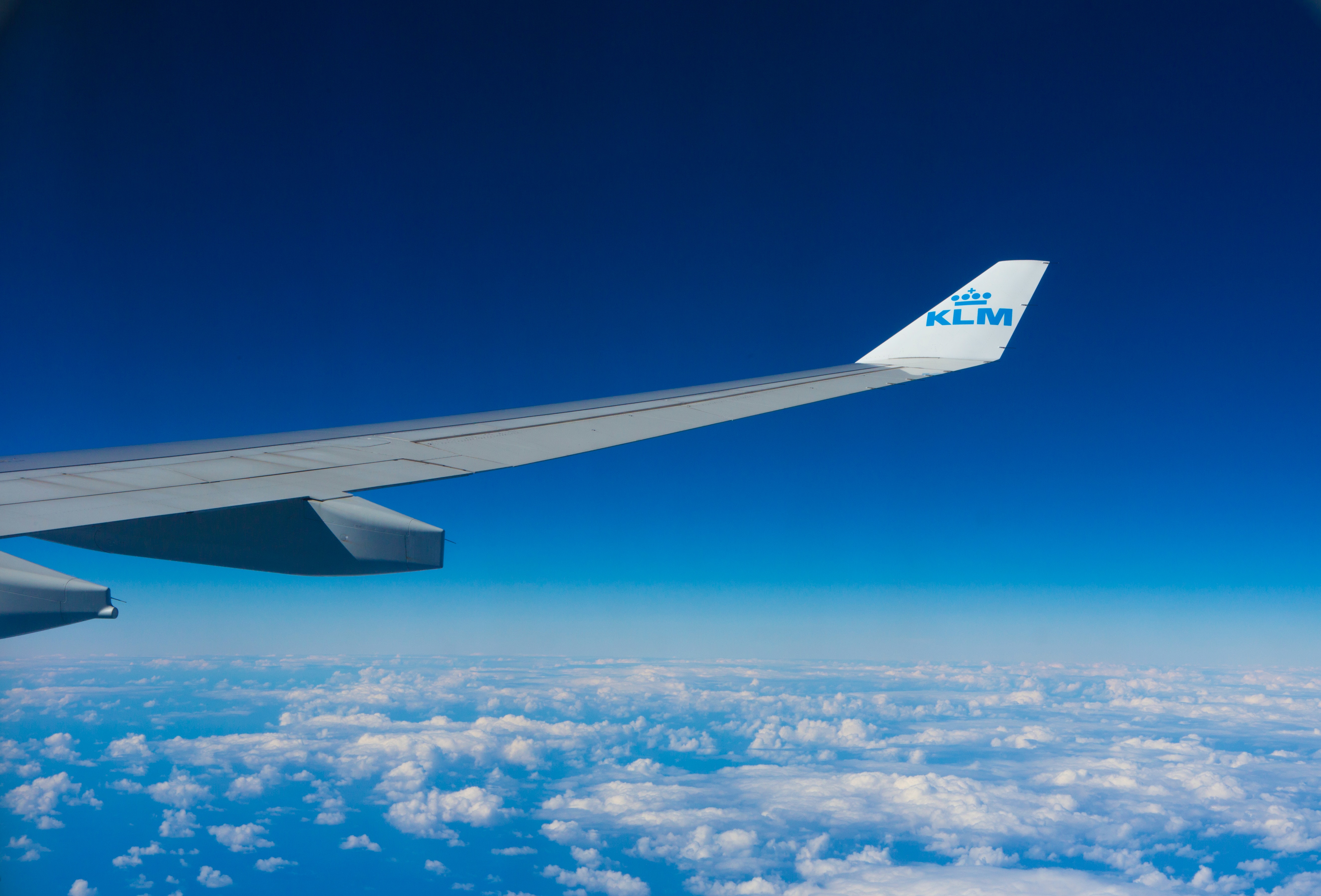 Cover image for post
