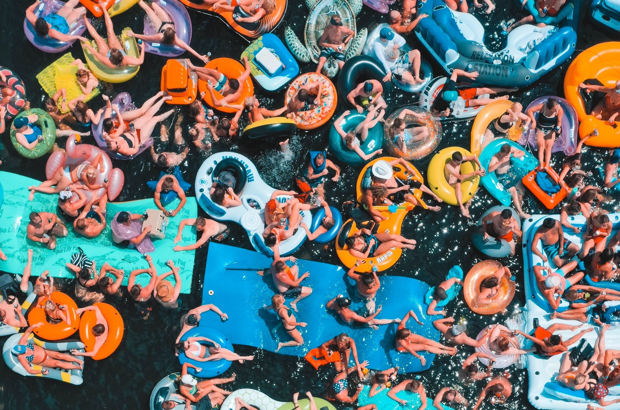 Cover image for post