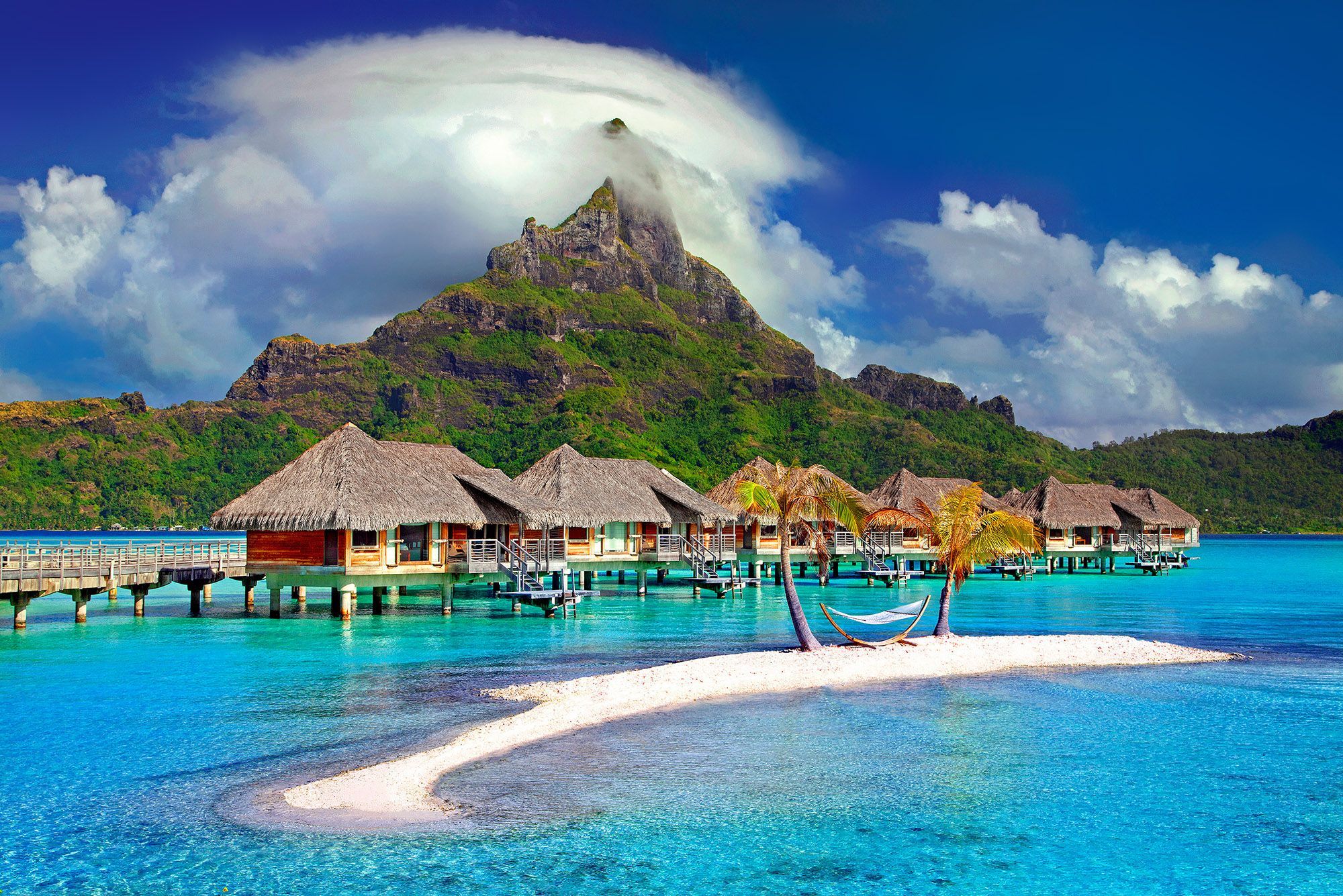 Cover image for post