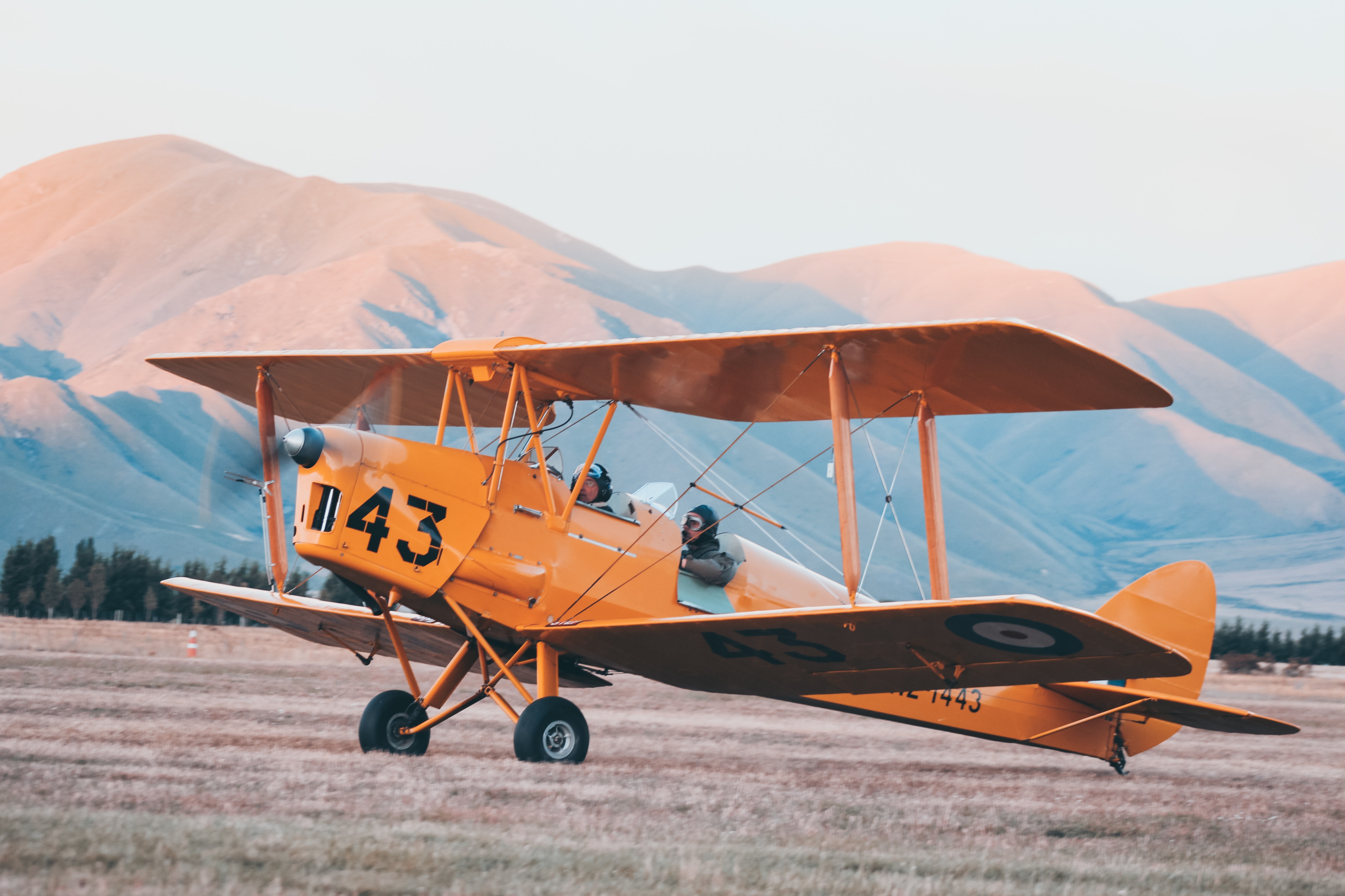 Cover image for post
