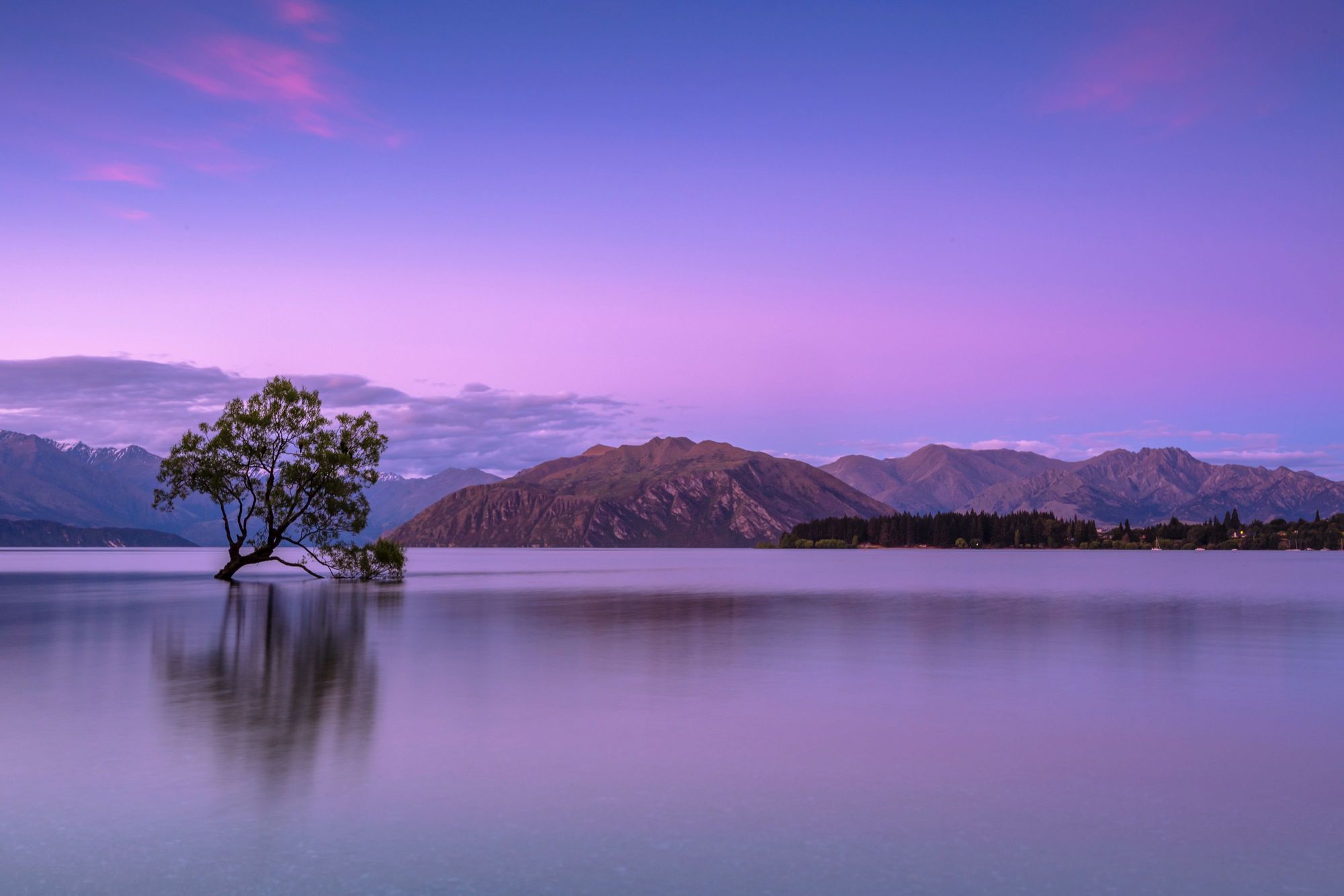 Cover image for post