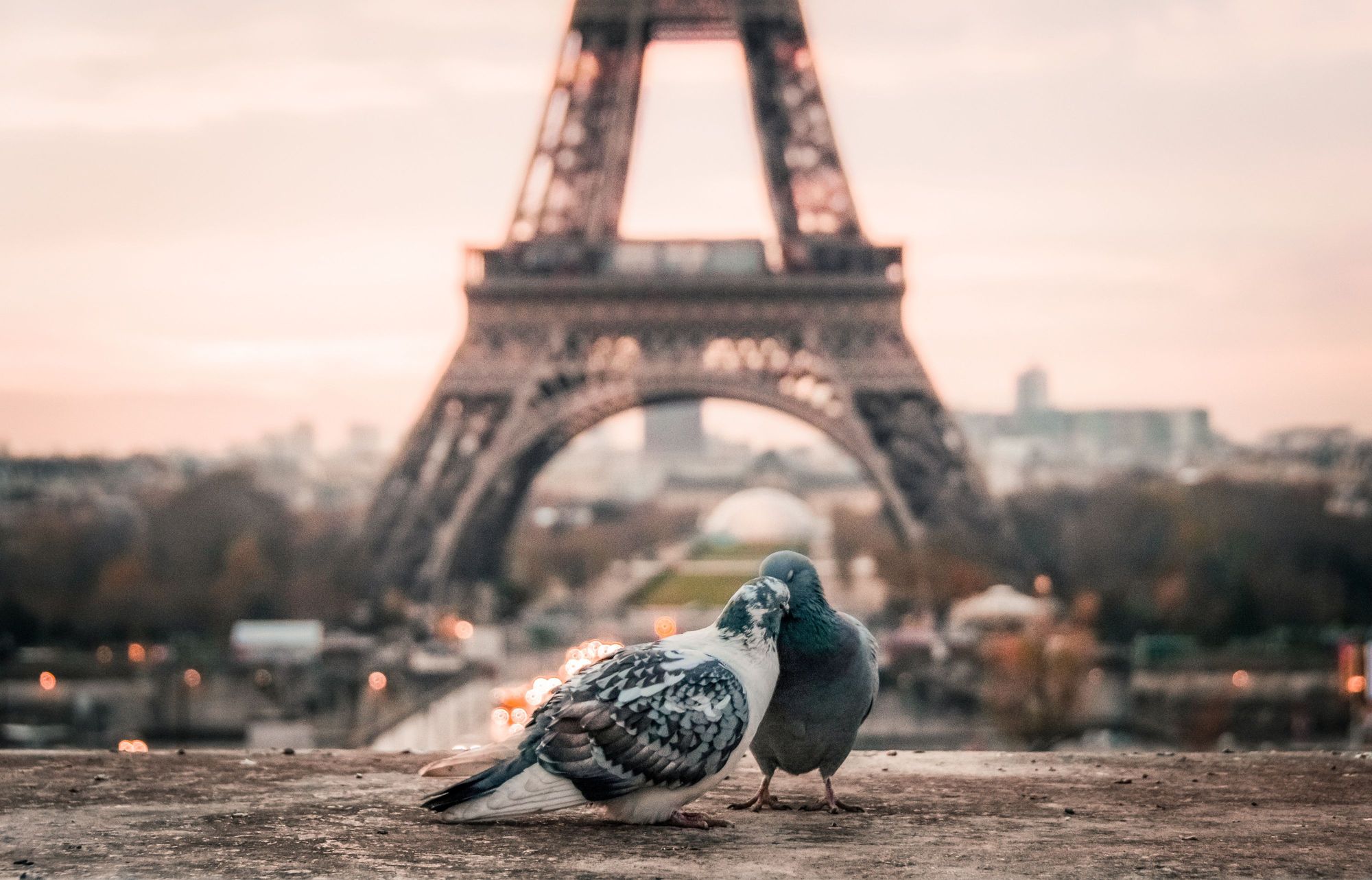 Cover image for post