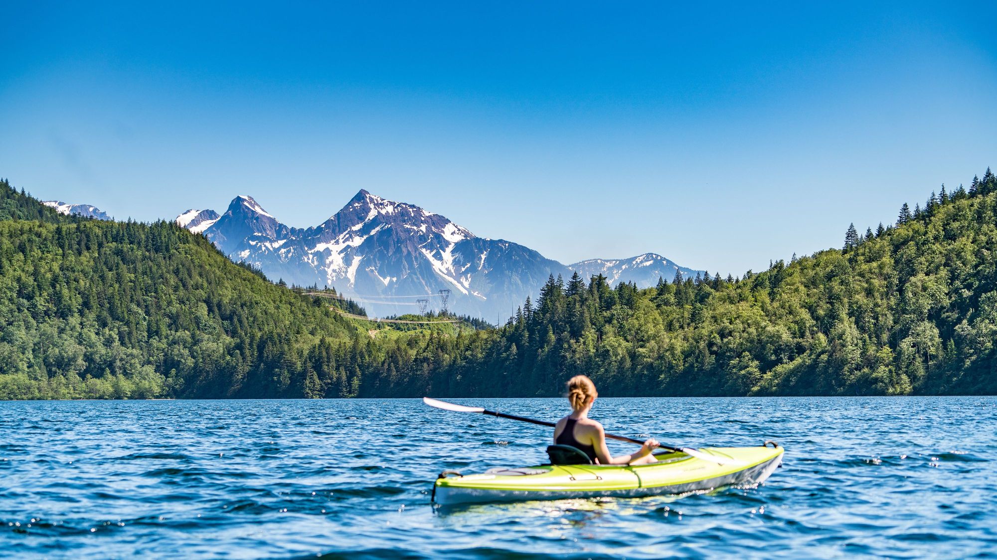 Cover image for post