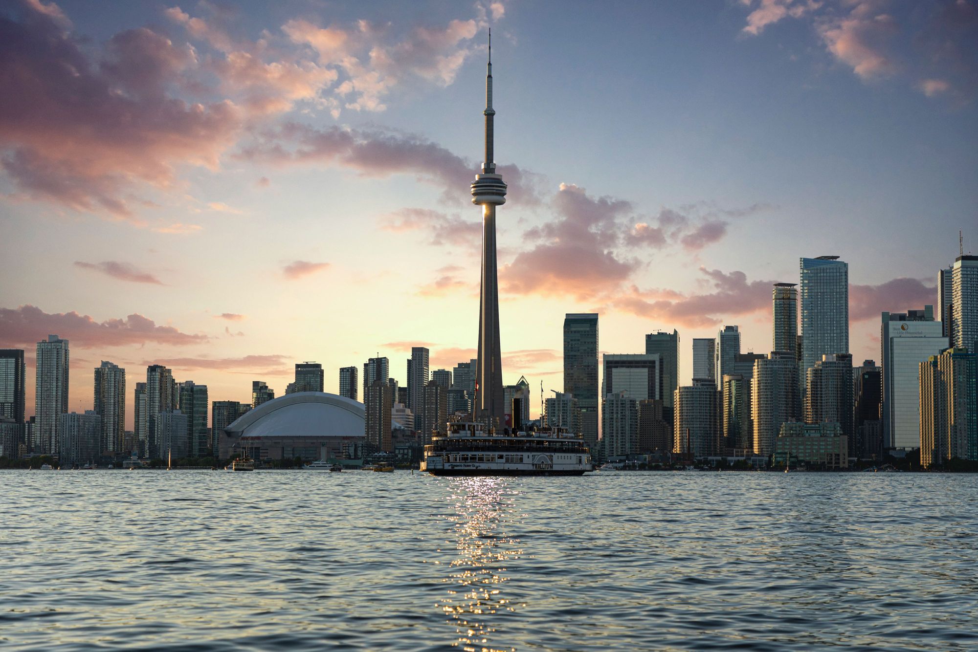 Cover image for post