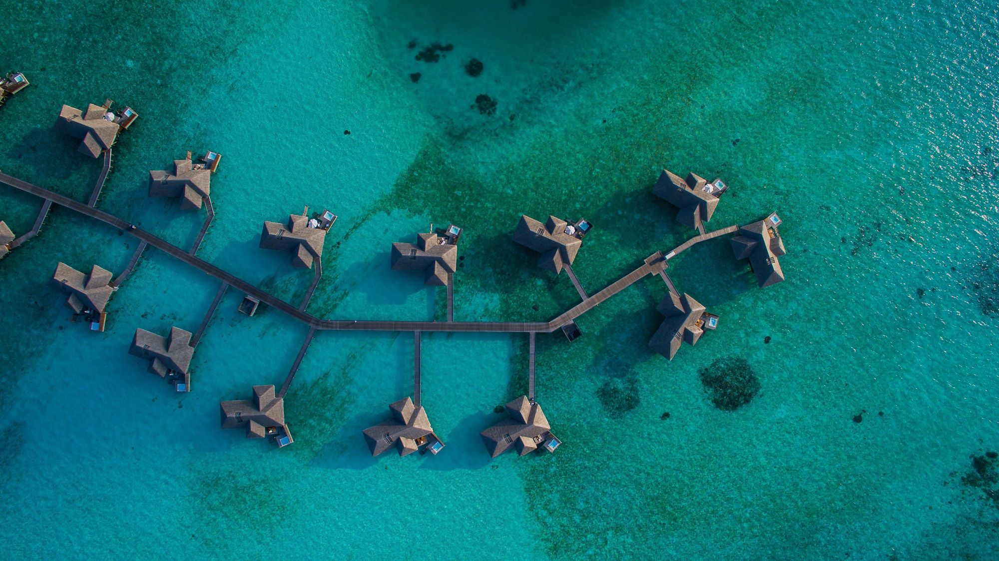 Cover image for post