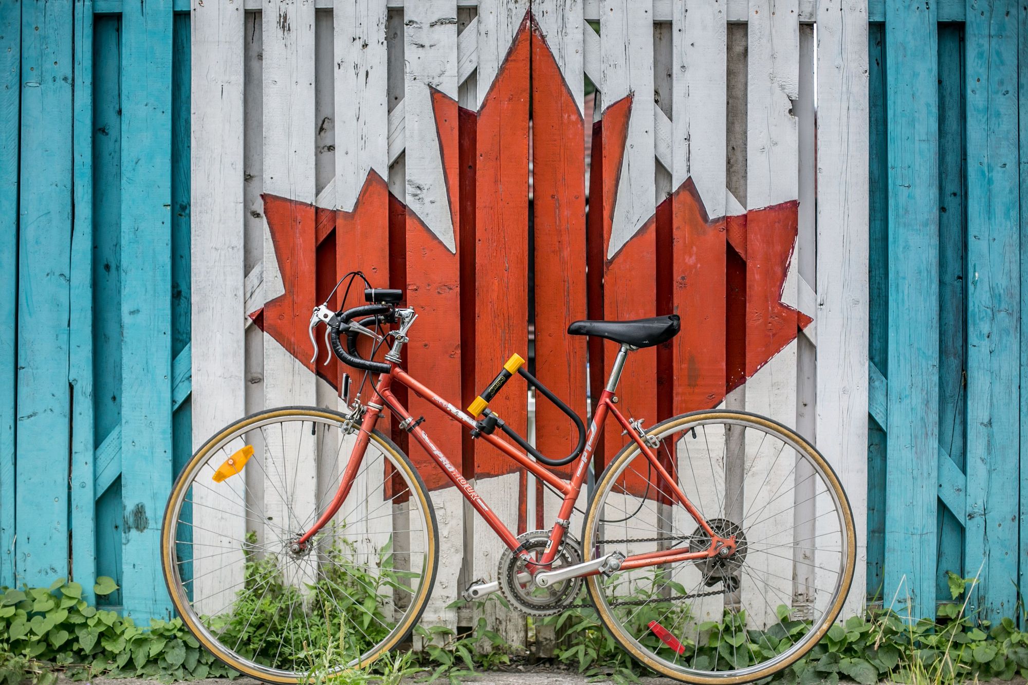 Cover image for post