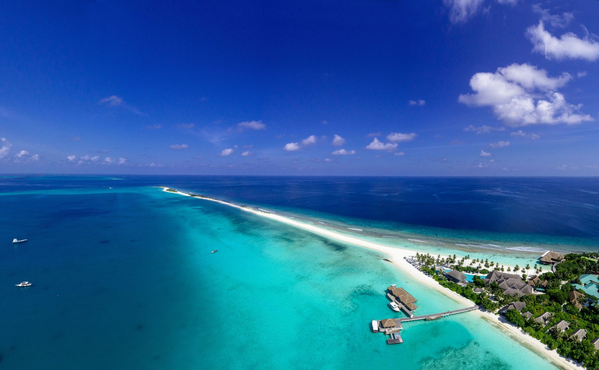 Cover image for post