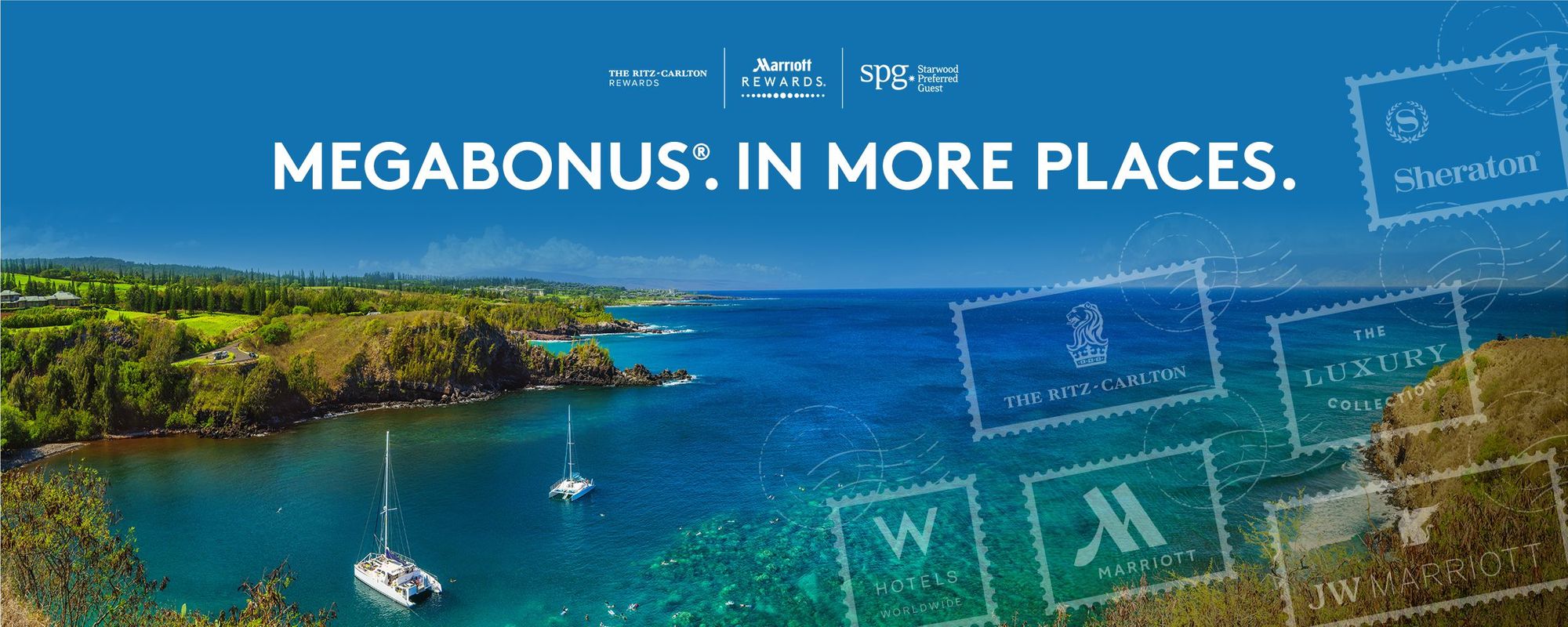 Cover image for post