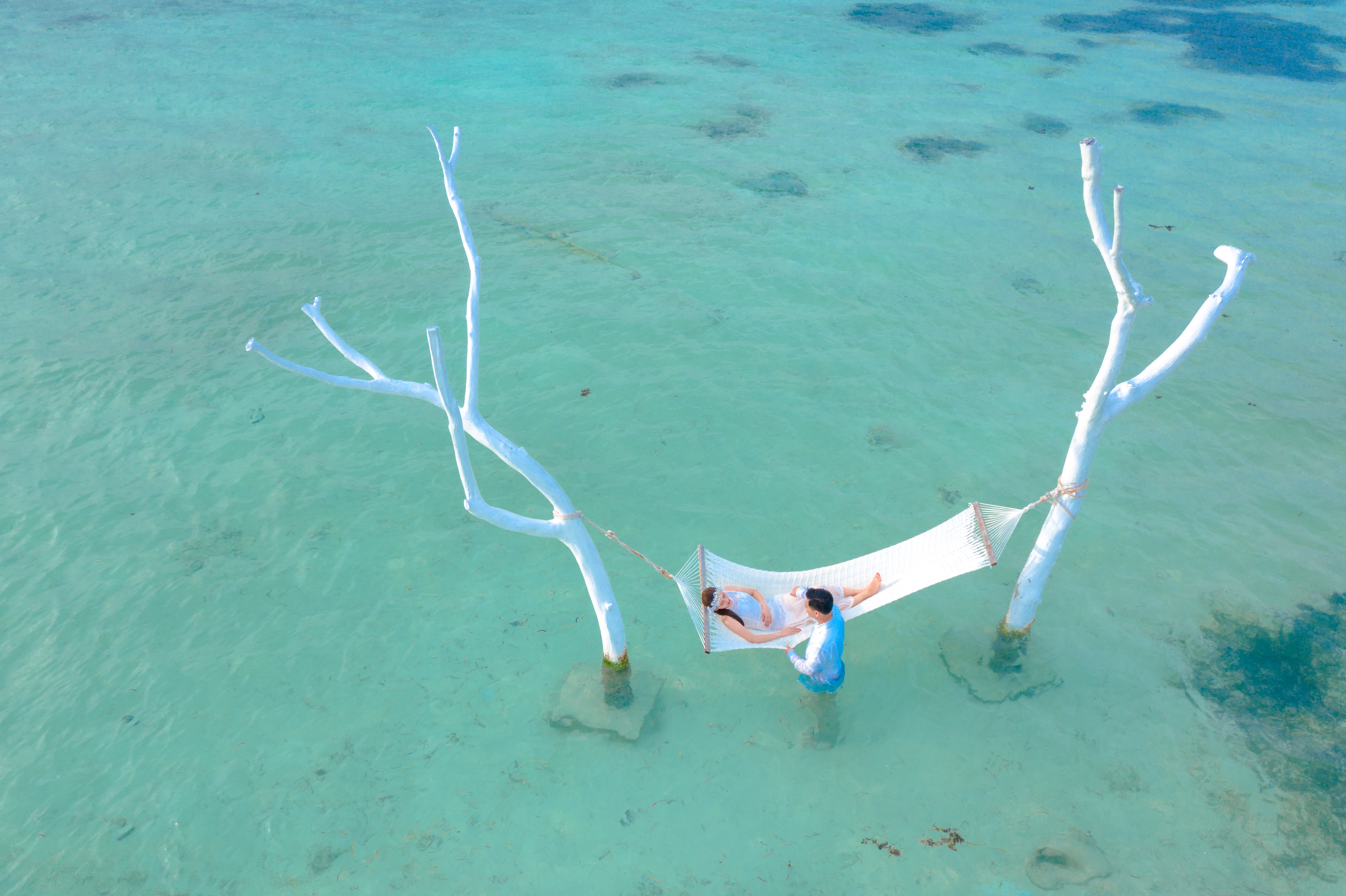 Cover image for post