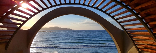 Cover image for post