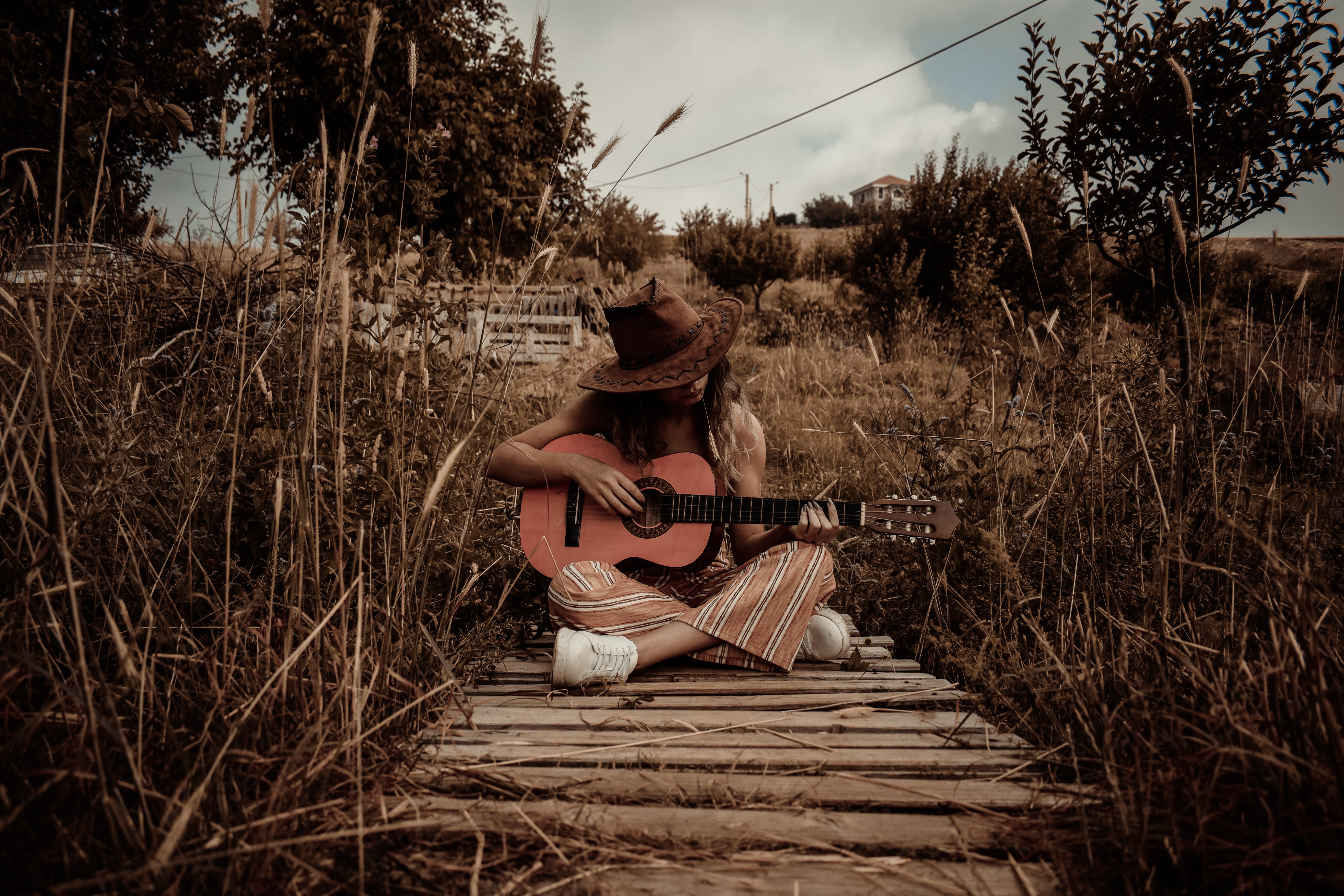Cover image for post